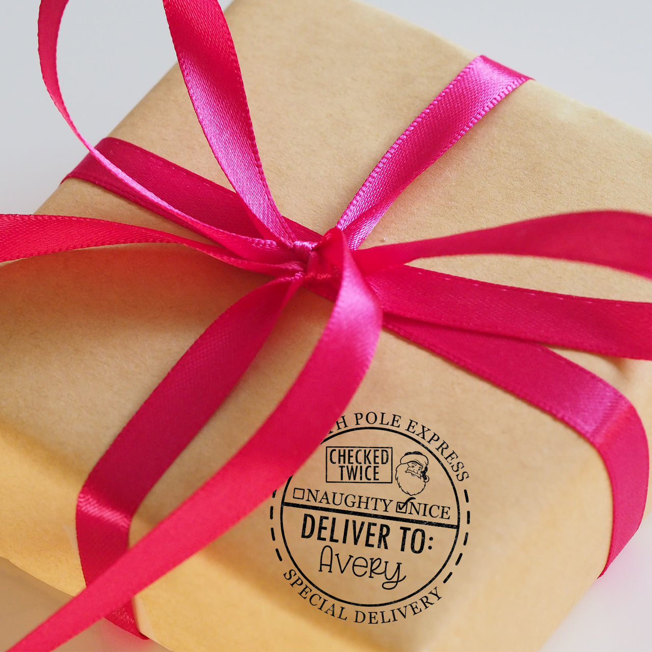 Special Delivery Santa Stamp