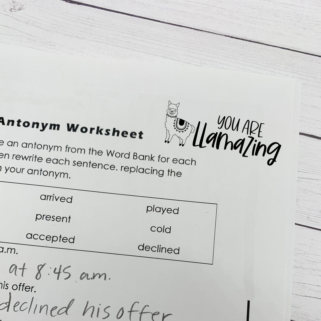 You are Llamazing Teacher Stamp